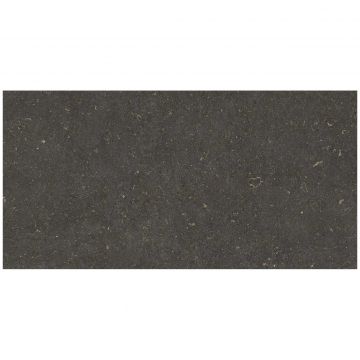 Базовая плита Геотайлс Vincen 120х60 см черный матовая, Geotiles