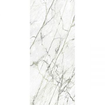 Керамогранит Tau Ceramica (Тау Керамика) Calacatta Green Nat. матовая 120х280 см, ппп00072874