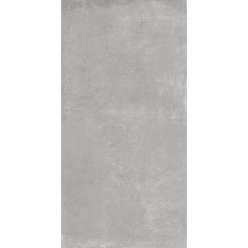 Керамогранит Tau Ceramica (Тау Керамика) Cancan Silver Rec 60х120 см, ректификат, ппп00052644