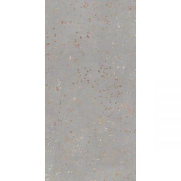 Керамогранит Tau Ceramica (Тау Керамика) Ceppo Di Gre Silver Nat. 60х120 см, ппп00065321