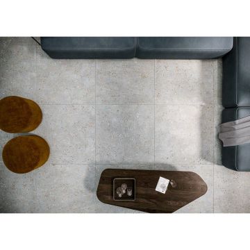 Керамогранит Tau Ceramica (Тау Керамика) Ceppo Di Gre Silver Nat. 60х120 см, ппп00065321