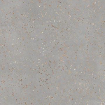 Керамогранит Tau Ceramica (Тау Керамика) Ceppo Di Gre Silver Nat. 120х120 см, ппп00065320