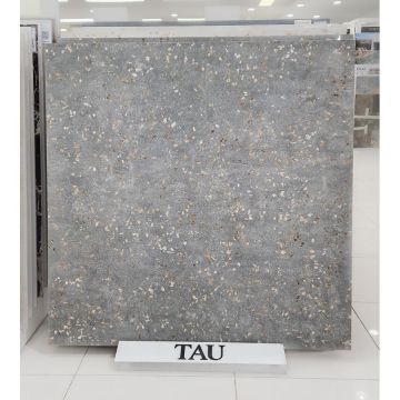 Керамогранит Tau Ceramica (Тау Керамика) Ceppo Di Gre Silver Nat. 120х120 см, ппп00065320