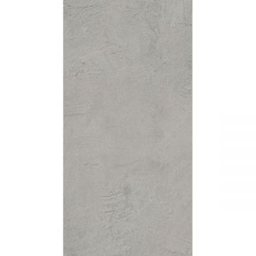 Керамогранит Tau Ceramica (Тау Керамика) Devon Silver Nat. 60х120 см, ппп00041725