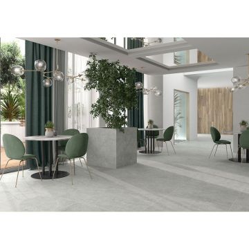 Керамогранит Tau Ceramica (Тау Керамика) Devon Silver Nat. 60х60 см, ппп00041730