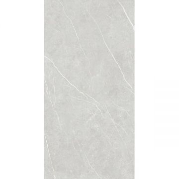 Керамогранит Tau Ceramica (Тау Керамика) Elite Silver матовая 120х280 см, ппп00073484