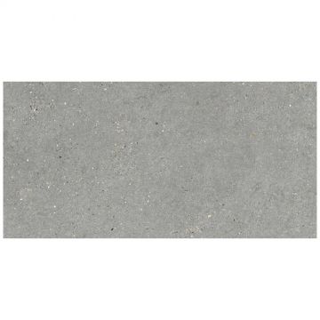 Керамогранит Grespania Mitica Gris 60X120 Rec. 60х120 см серый матовая 44MI39R
