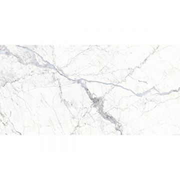 Керамогранит Fanal (Фанал) Windsor white 60х120 см SShine 33, 923915