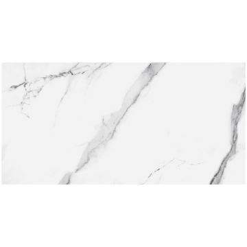 Керамогранит Fanal Iceberg 60X120 Rec 60х120 см белый матовая 120E001