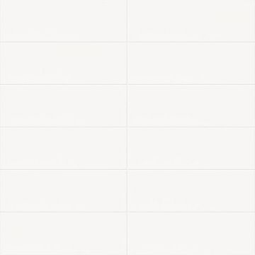 Керамическая плитка Mainzu (Маинзу) Jungle Liso Mate Blanco 10х30 см