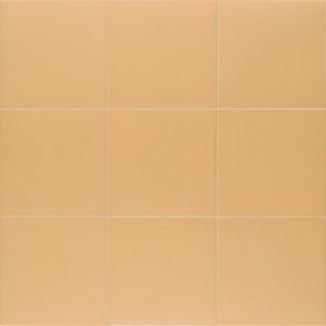 Керамогранит Mainzu (Маинзу) Technical Tangerine 20х20 см