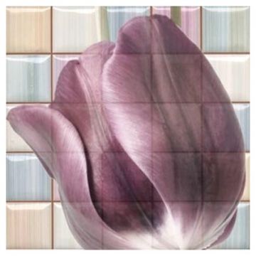 Декор Рокерса Magic 31,6х31,6 см разноцветный глянцевая RCS000061, Magik Decorado Frame A Mix, Rocersa