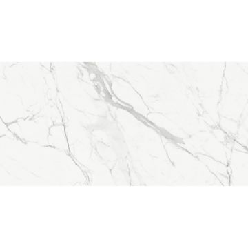 Керамогранит Delacora (Делакора) Porfido Carrara sugar-эффект 60х120х0,95 см 60120PFC15