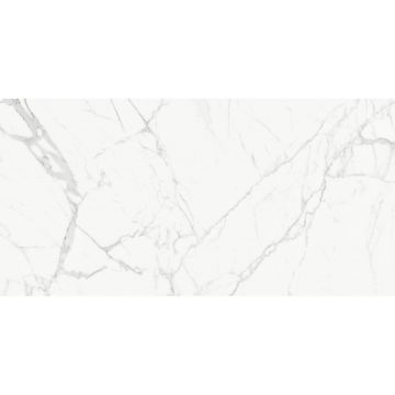 Керамогранит Delacora (Делакора) Porfido Carrara sugar-эффект 60х120х0,95 см 60120PFC15