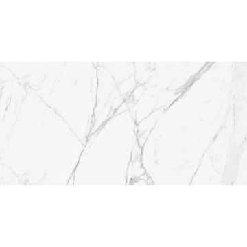 Керамогранит Delacora (Делакора) Porfido Carrara sugar-эффект 60х120х0,95 см 60120PFC15