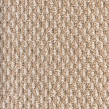 Ковролин разрезной бербер Зартекс (Zartex) Анкона 115 Бело-бежевый 4 м