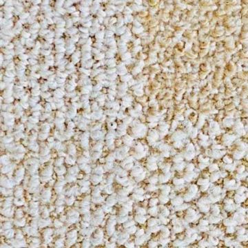 Ковролин разрезной скролл Зартекс (Zartex) Кембридж 505 Бело-бежевый 3 м