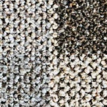 Ковролин разрезной скролл Зартекс (Zartex) Кембридж 509 Перепелиный 3 м