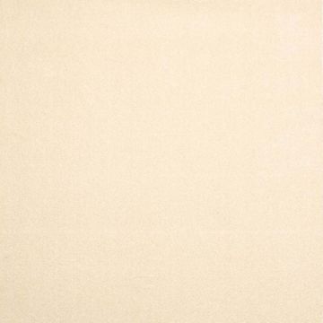 Ковролин тафтинговый Urggazcarpet (Урггазкарпет) Cardinal 10579 white+cream, 3 м