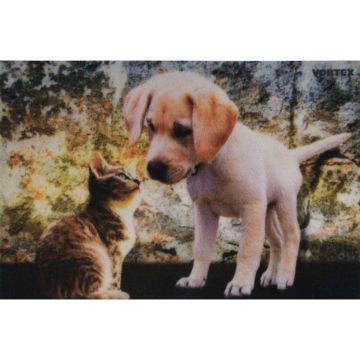 Ковер Soft Touch влаговпитывающий Vortex (Вортекс) Samba Котенок и щенок 215, 0,4х0,6 м