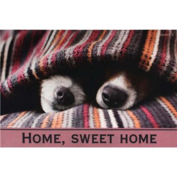 Ковер Soft Touch влаговпитывающий Vortex (Вортекс) Samba Собаки под пледом 222, 0,6х0,9 м