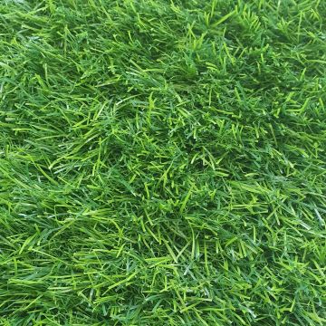 Искусственная трава Prettie Grass Деко 35 мм 4 м Искусственная трава Prettie Grass Деко 35 мм 4 м