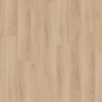 Ламинат Kronotex (Кронотекс) Exquisit Plus 8/32 Аванто Бежевый (Avanto Beige), D80242