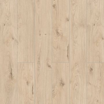 Ламинат Kronostar (Кроностар) Intellekt 12/33 Дуб Бирта (Oak Birta), D50747