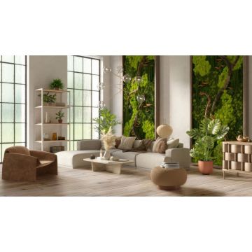 Ламинат Kronostar (Кроностар) Intellekt 12/33 Дуб Лаудер (Oak Lauder), D50867