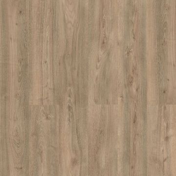 Ламинат Kronostar (Кроностар) Synonym 8/33 Дуб Мендель (Oak Mendel), D50137