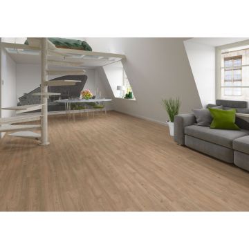 Ламинат Kronostar (Кроностар) Synonym 8/33 Дуб Мендель (Oak Mendel), D50137