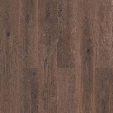 Ламинат Kronostar (Кроностар) Synonym 8/33 Дуб Гайс (Oak Guys), D50457
