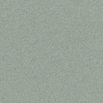 Коммерческий гомогенный линолеум Tarkett (Таркетт) Primo Plus 311, 2 м