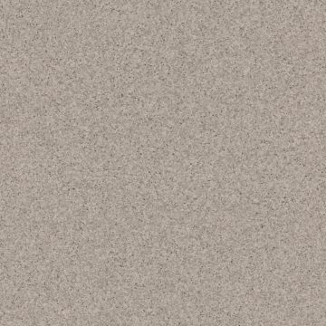 Коммерческий гомогенный линолеум Tarkett (Таркетт) Primo Plus 313, 2 м