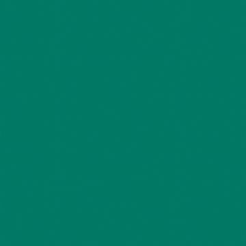 Коммерческий спортивный линолеум Tarkett (Таркетт) Omnisports Action 65 Forest Green, 2 м