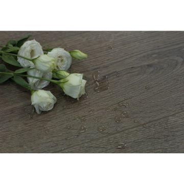 Виниловая плитка ПВХ Art East (Арт Ист) Art Stone Armor 9/33 Ясень Бойсмана (Ash Boismanii), ARM 92