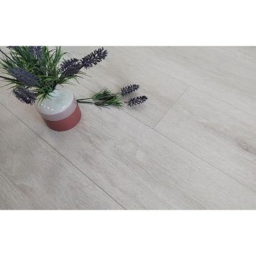 Ламинат Stone Floor (Стоун Флур) MSPC 8/43 Дуб Кремовый (Oak Cream), DCA6-14 MP