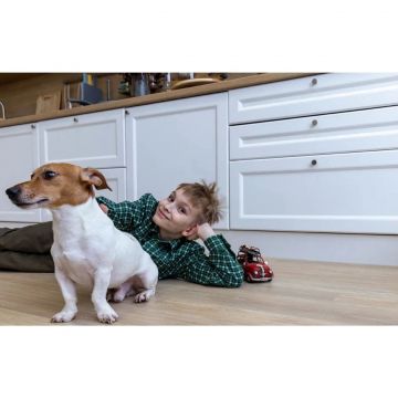 Ламинат Stone Floor (Стоун Флур) MSPC 8/43 Дуб Хантер (Oak Hunter), K0061-2 MP