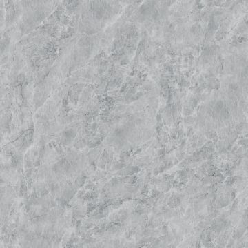 Виниловый SPC ламинат FloorBee (ФлурБи) Project 4/43 Теоторе Стандарт (Teotore Standard), 6007