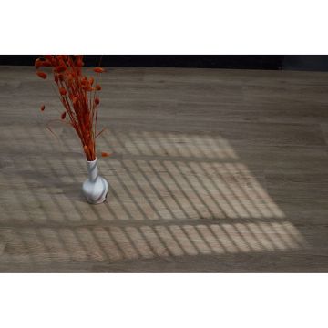 Виниловый SPC ламинат Steinholz (Штайнхольц) Prime 4,5/43 Ульрих (Ulrich) , STH024