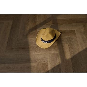 Виниловый SPC ламинат Steinholz (Штайнхольц) Herringbone 4,5/43 Брегенц (Bregenz) , STH055Н