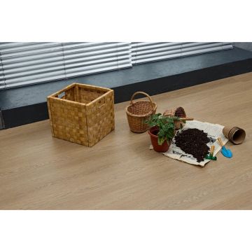 Виниловый SPC ламинат Steinholz (Штайнхольц) Element 4,5/43 Баум (Baum), STH069E