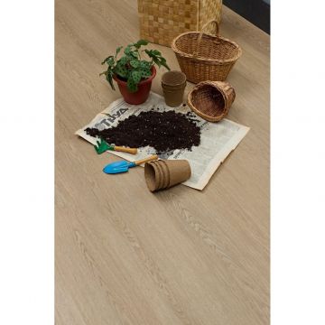 Виниловый SPC ламинат Steinholz (Штайнхольц) Element 4,5/43 Баум (Baum), STH069E