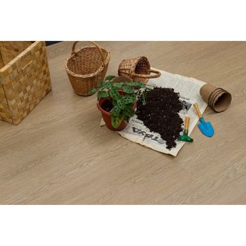 Виниловый SPC ламинат Steinholz (Штайнхольц) Element 4,5/43 Баум (Baum), STH069E