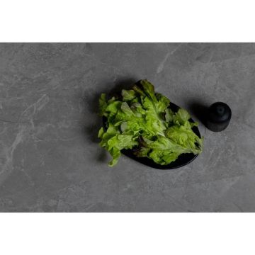 Виниловый SPC ламинат Steinholz (Штайнхольц) Monolith 4,5/43 Роклэнд (Rockland), STH086M