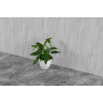 Виниловый HSPC ламинат Alpendorf (Алпендорф) Мрамор 4/43 Вильена (Villena), 3018-2