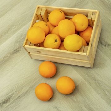 Кварцвиниловая LVT плитка Bronix (Броникс) Kvarr Glue 2,5/43 Кристалл Клеевой (Crystal GL)