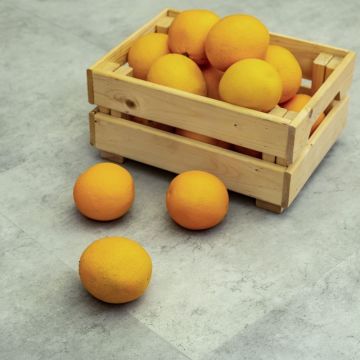 Кварцвиниловая LVT плитка Bronix (Броникс) Kvarr Glue Камень 2,5/43 Эдаль Клеевой (Edal GL)