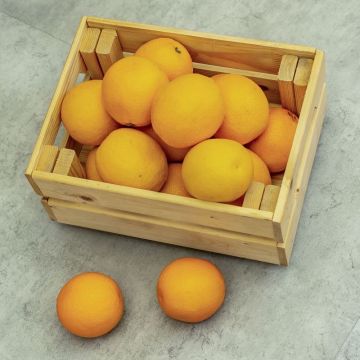 Кварцвиниловая LVT плитка Bronix (Броникс) Kvarr Glue Камень 2,5/43 Эдаль Клеевой (Edal GL)