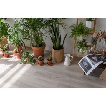 Виниловый пол Vinilam (Винилам) Glue Дуб Ален (Rich) 2,5/43 (Oak Alain) , 20468